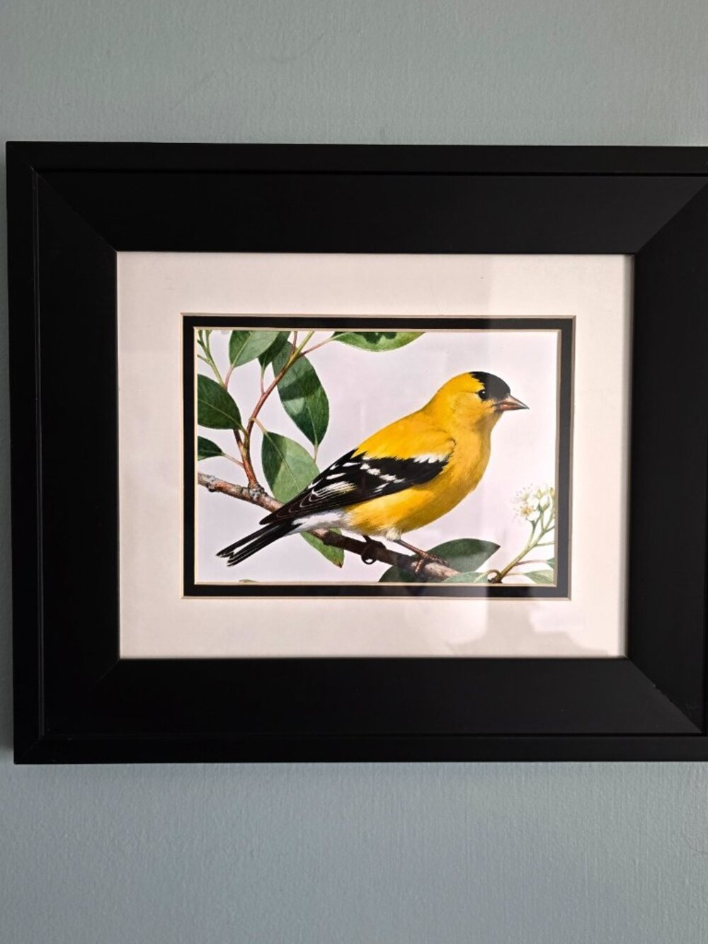 Original Art Goldfinch Framed Print AI Generated Botanical Cottage OOAK